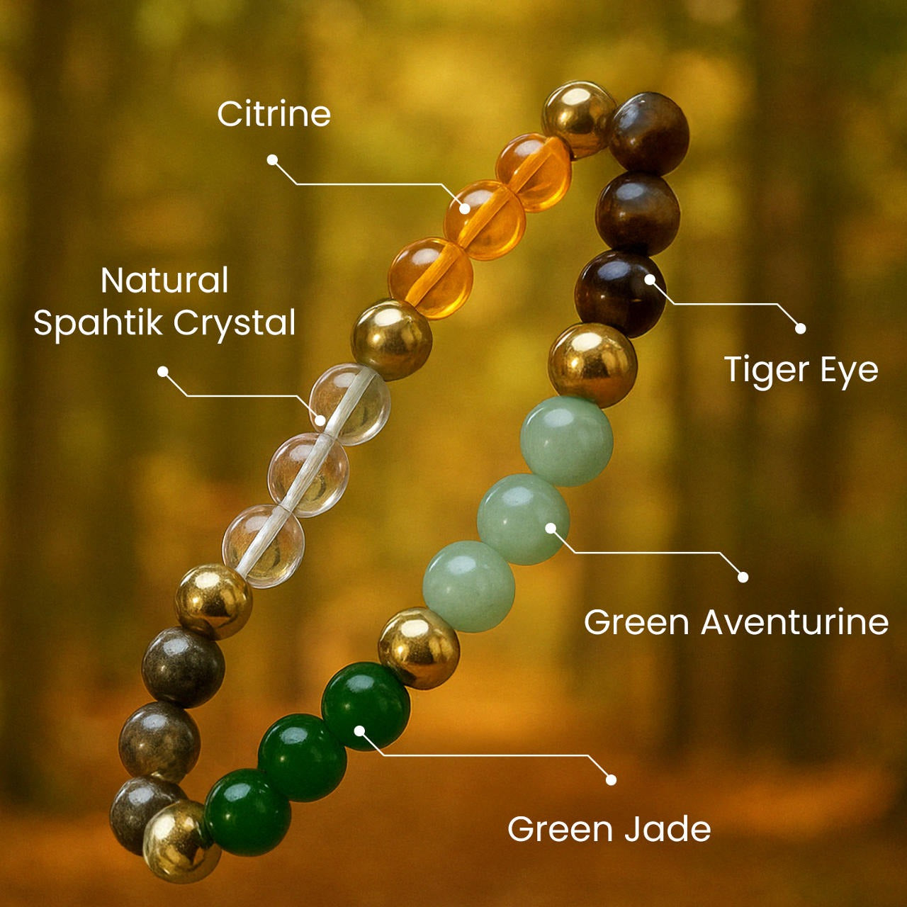 Money Magnet Bracelet